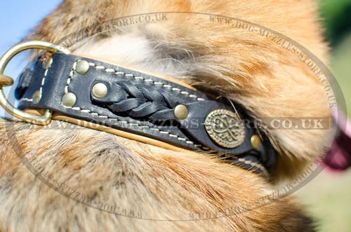 German Shepherd Collars UK