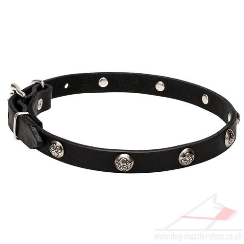 Dog Leather Collar with Buckle