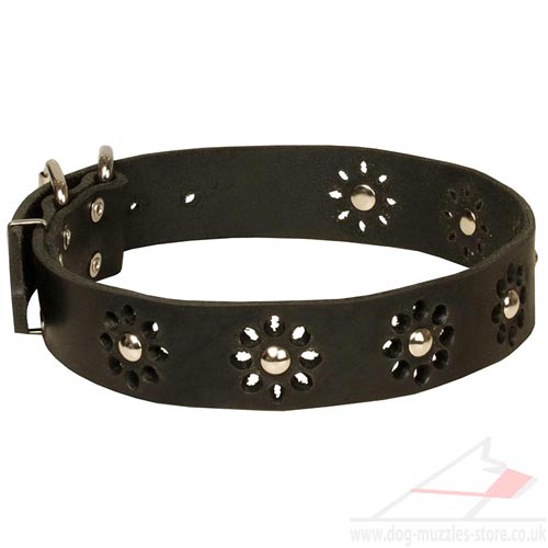 Luxury Leather Dog Collars