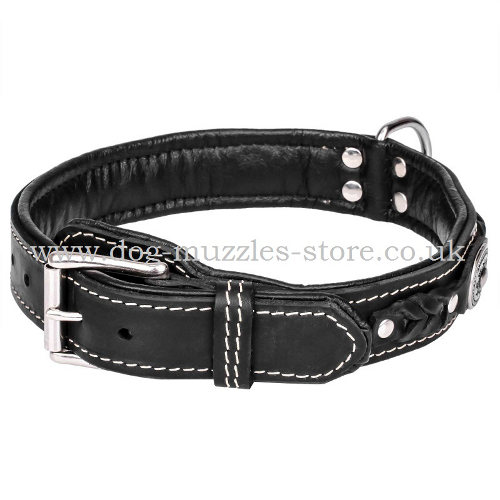 exclusive dog collar