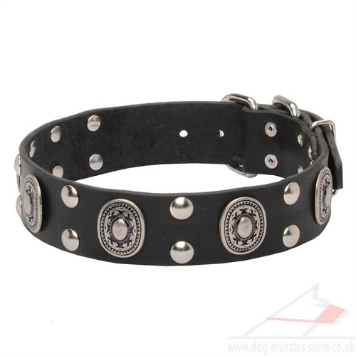 Luxury Leather Dog Collars