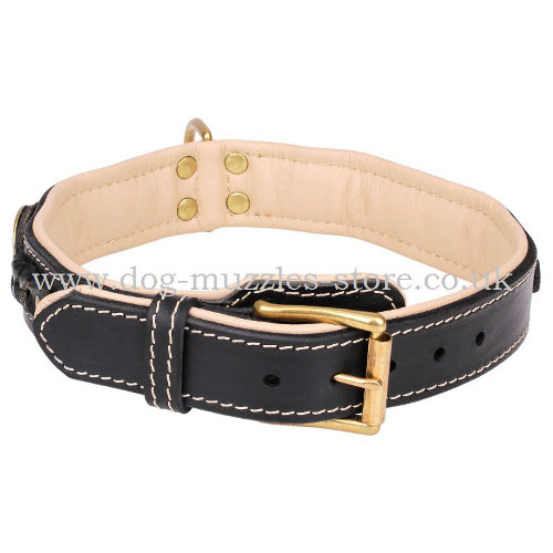 Braided Leather Dog Collar