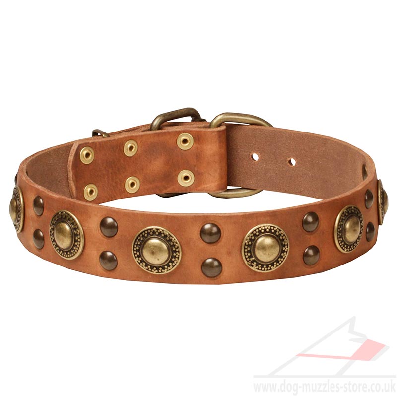 Large Dog Collars Uk Large Dog Collars Uk