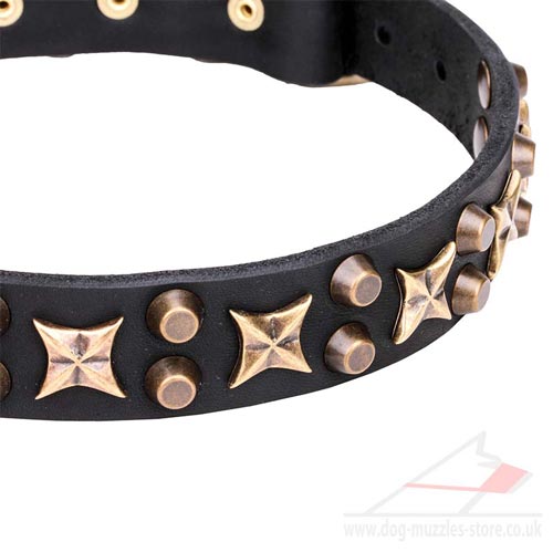 elegant dog collar for sale online