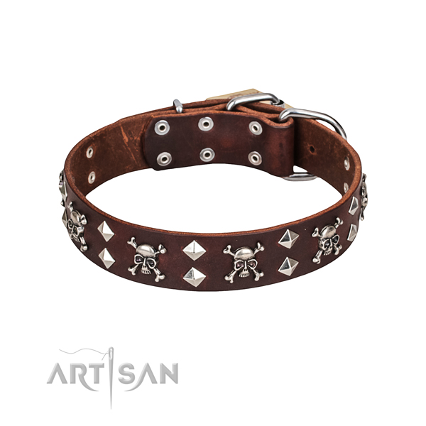 40 mm Artisan Dog Collar buy online