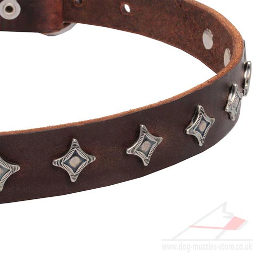 Brown Leather Dog Collar Necklace