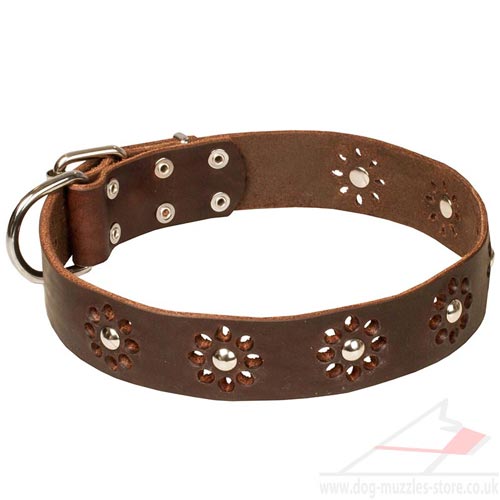 Luxury Leather Dog Collars