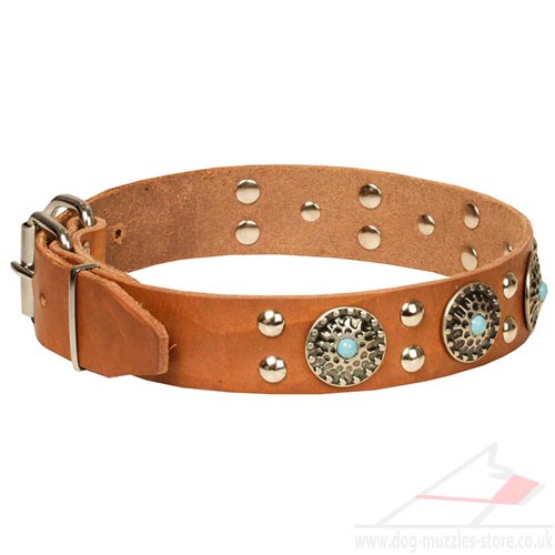 Large Dog Collars Design