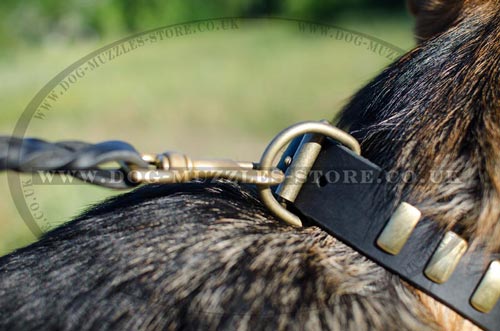 Large Dog Collar with Welded D-Ring