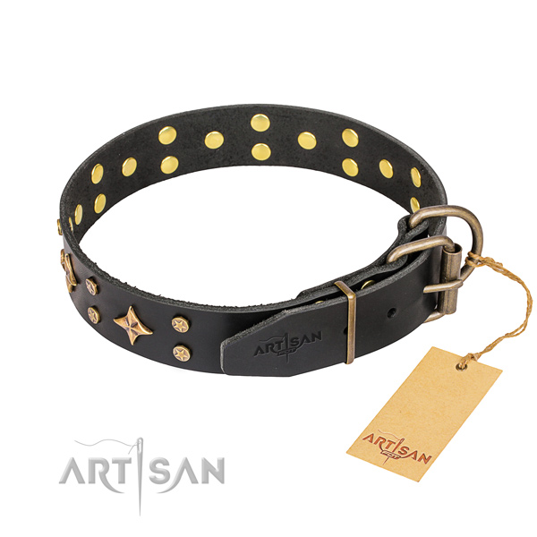 Leather Collar for Dog buy uk