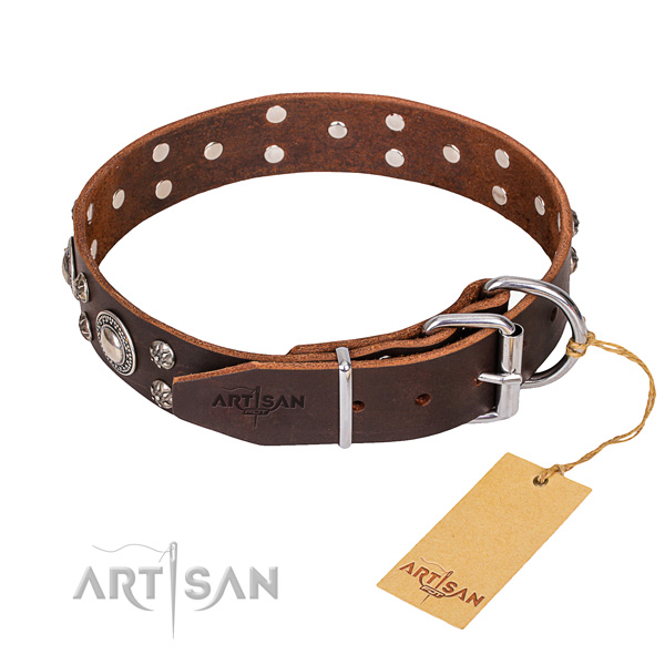 Designer Dog Collar buy uk