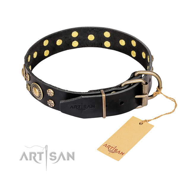 Black Collar for Dog buy uk