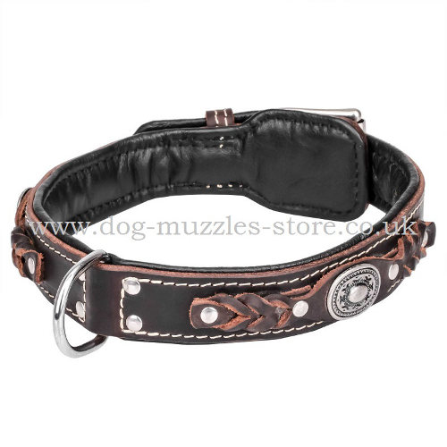 dog leather collar
