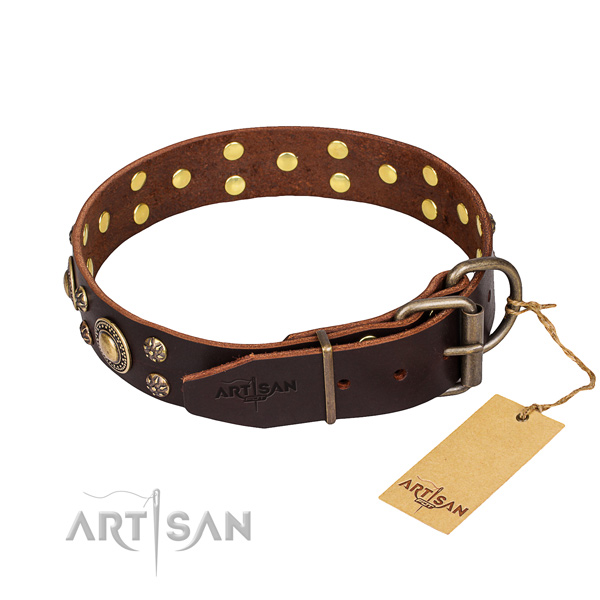 Brown Collar for Dog buy uk