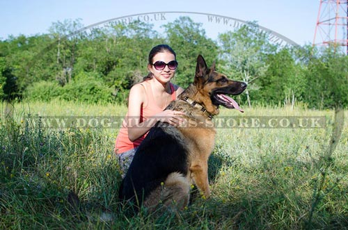 German Shepherd Collar