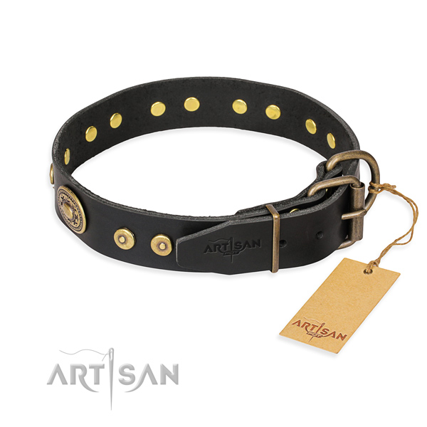 Designer Dog Collar buy uk