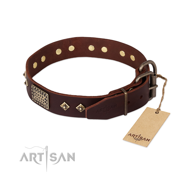 Decorated Dog Collar buy uk