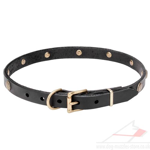 leather dog collar