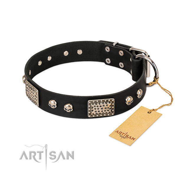 Designer Dog Collar buy uk