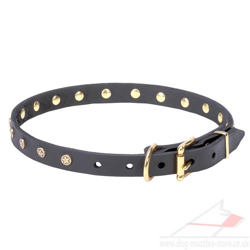 Buy Puppy Dog Collars UK