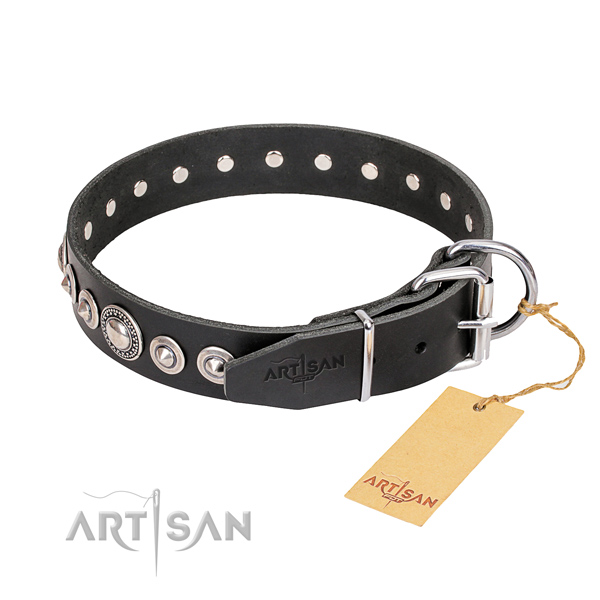 Studded Dog Collar buy uk