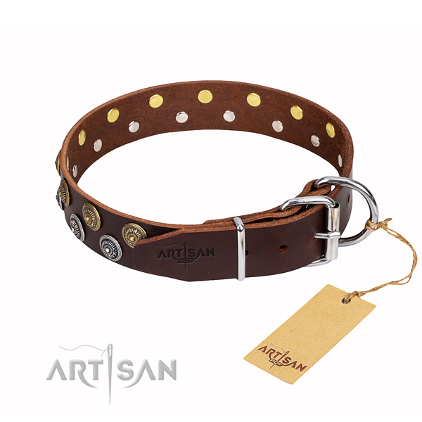 Leather Collar for Dog buy uk