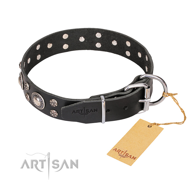 Designer Dog Collar buy uk