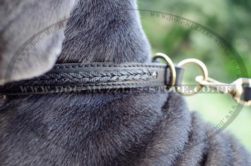 Braided Leather Dog Collar Choker