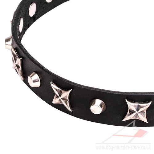 leather dog collar UK