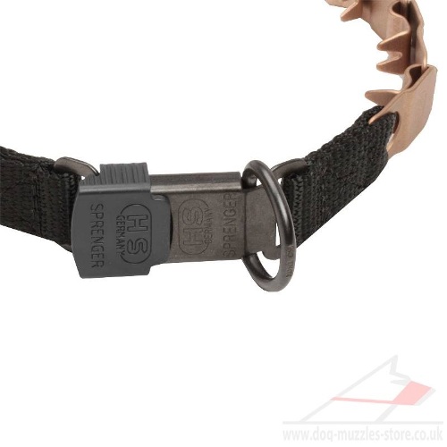 Best Best Anti Pull Dog Collar online uk