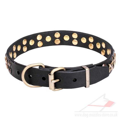 leather dog collar UK