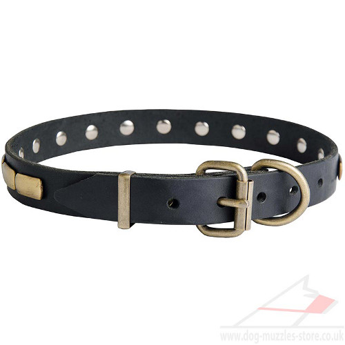 Designer Dog Collar UK