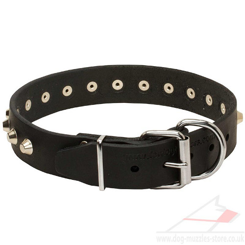 Leather Dog Collar with Buckle