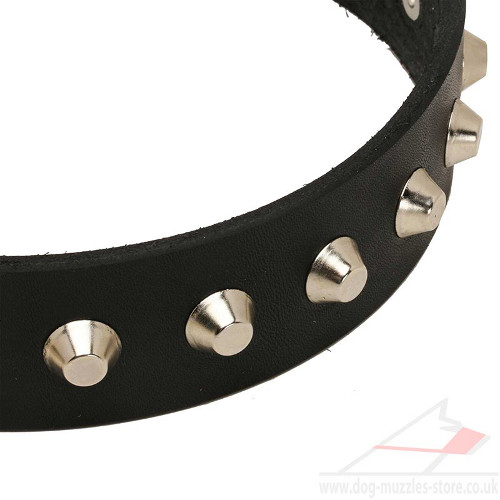 Dogue De Bordeaux Collars UK