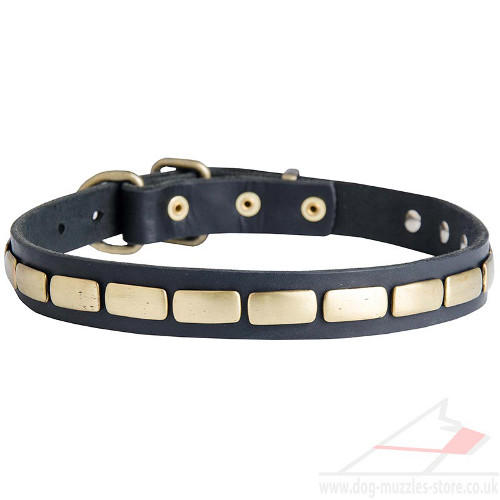 Designer Dog Collar UK