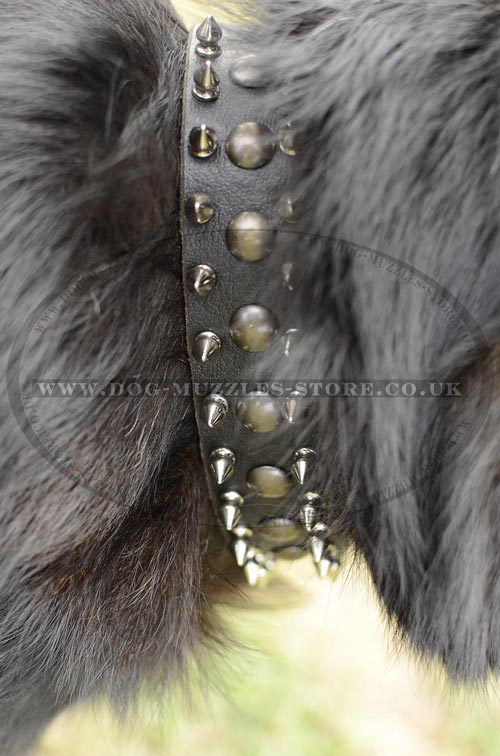 German Shepherd Collar UK