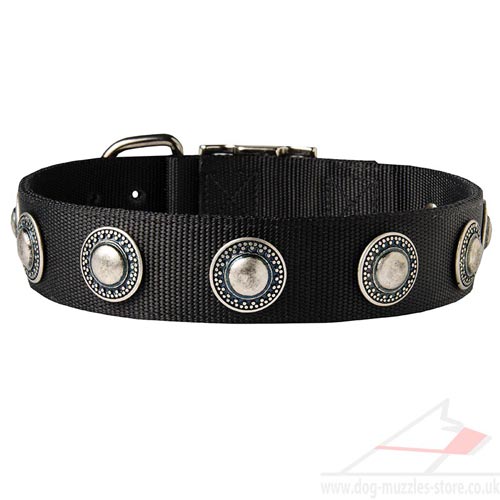 Designer dog collar vintage style