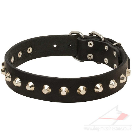 Designer dog collar