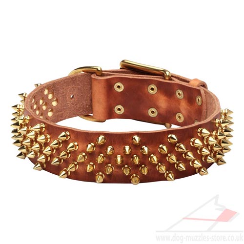Leather Dogs Collars for Large Dogs