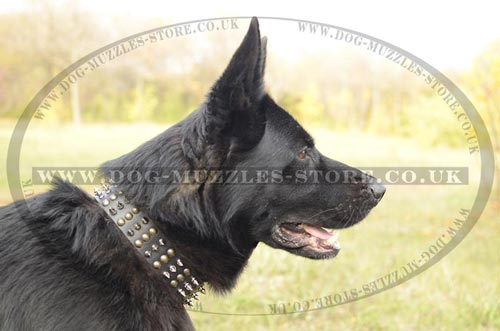 Dog Leather Collar for German Shepherd