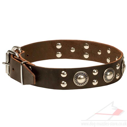 Handmade Dog Collars for Large Dogs