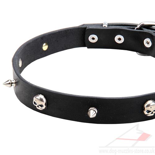 Thin Dog Collar UK