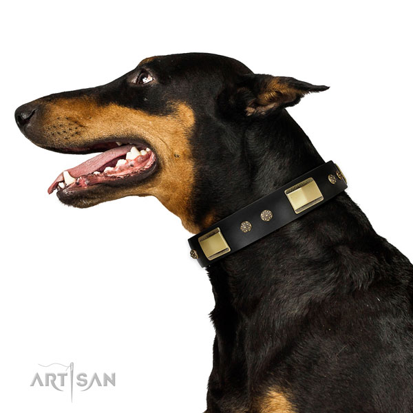 labrador dog collar for sale