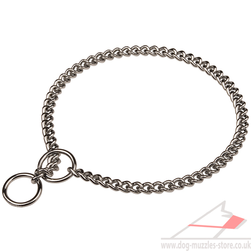 dog chain collar Herm Sprenger