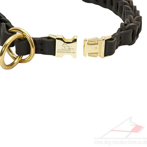 training dog collar choker