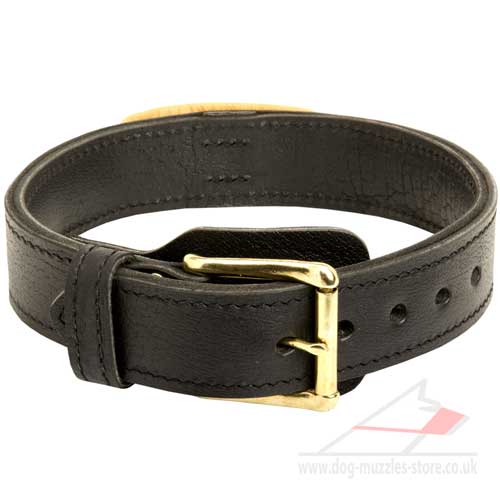 2  Ply Leather Agitation Dog Collar