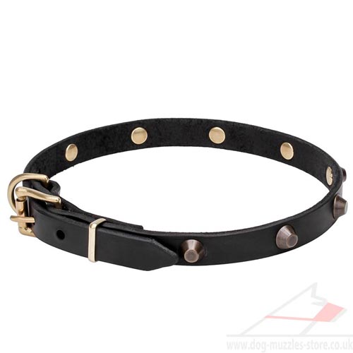 Dog Collar Jeweled