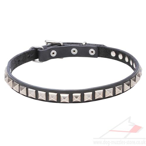 Thin Leather Dog Collar Necklace