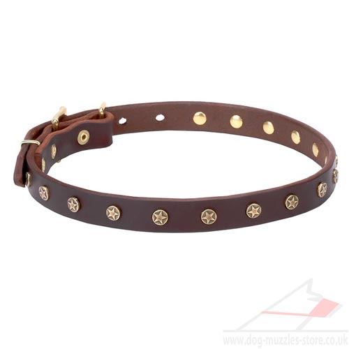 Puppy Collars UK