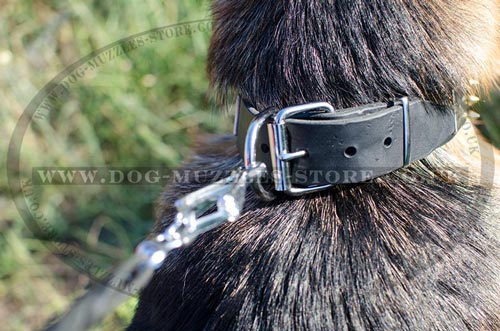 German Shepherd Collars UK